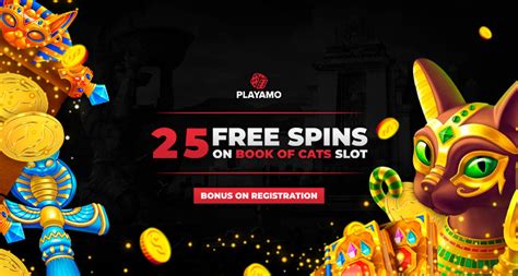 playamo casino no deposit signup bonus 2021|PlayAmo 25 Free Spins No Deposit.